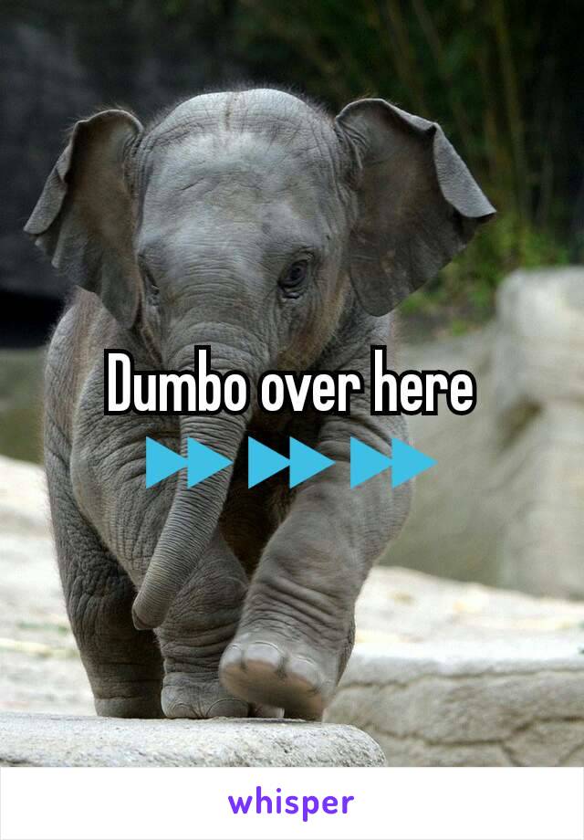 Dumbo over here ⏩⏩⏩