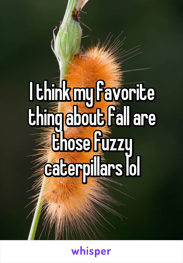 I think my favorite thing about fall are those fuzzy caterpillars lol