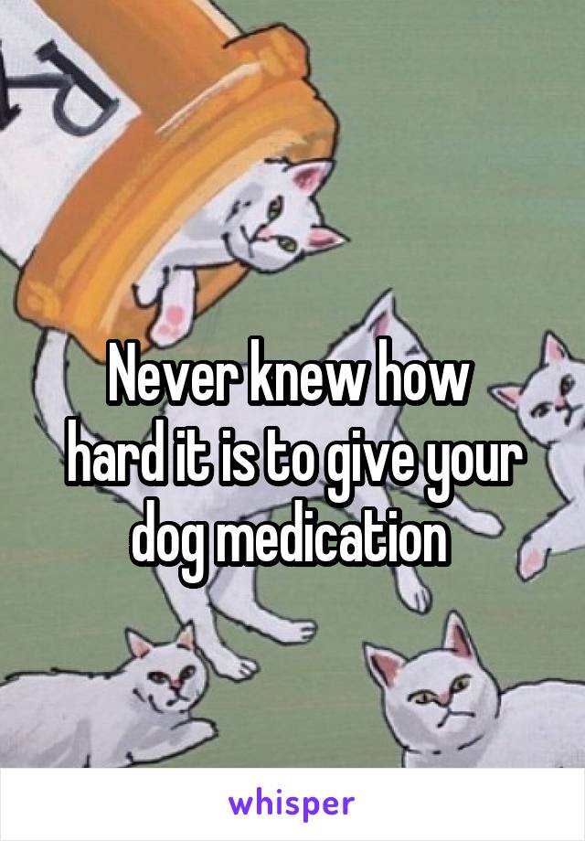 
Never knew how 
hard it is to give your dog medication 