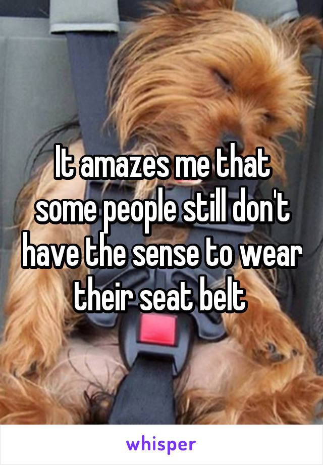 It amazes me that some people still don't have the sense to wear their seat belt 
