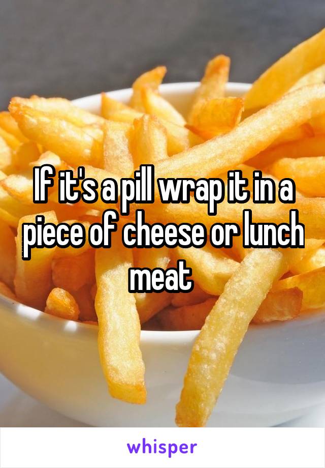 If it's a pill wrap it in a piece of cheese or lunch meat 