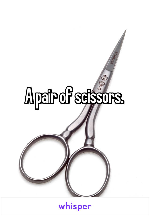 A pair of scissors. 
