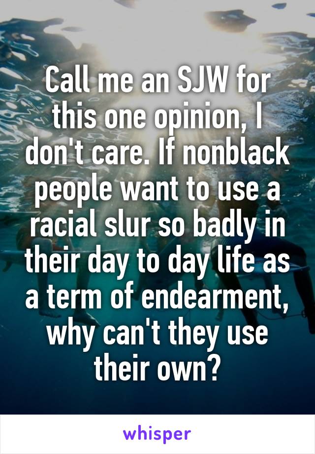 Call me an SJW for this one opinion, I don't care. If nonblack people want to use a racial slur so badly in their day to day life as a term of endearment, why can't they use their own?