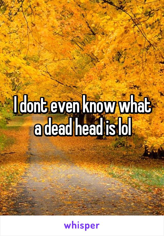 I dont even know what a dead head is lol