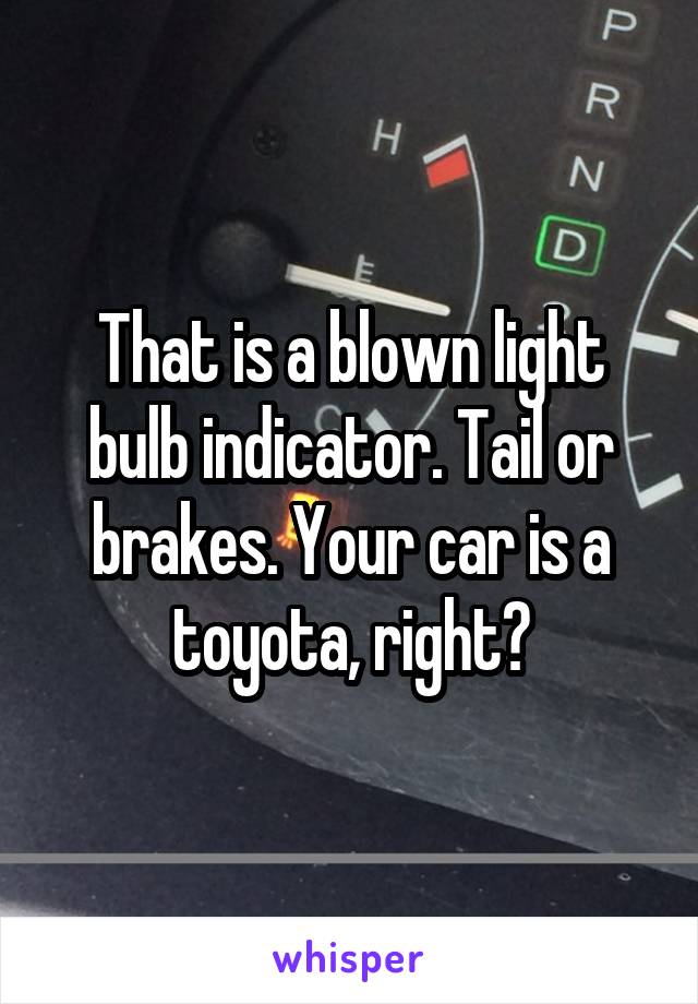 That is a blown light bulb indicator. Tail or brakes. Your car is a toyota, right?