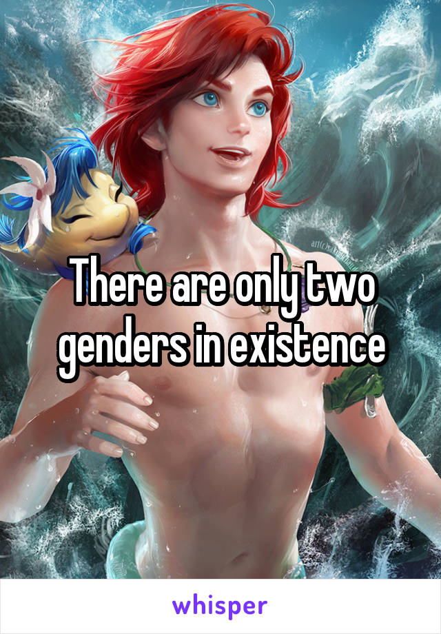 There are only two genders in existence