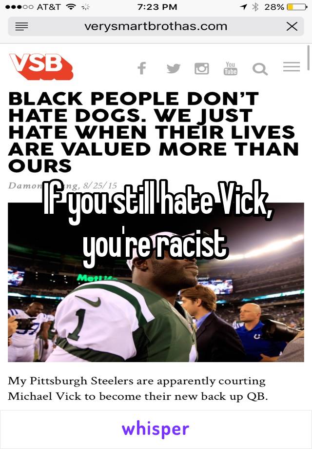 If you still hate Vick, you're racist 