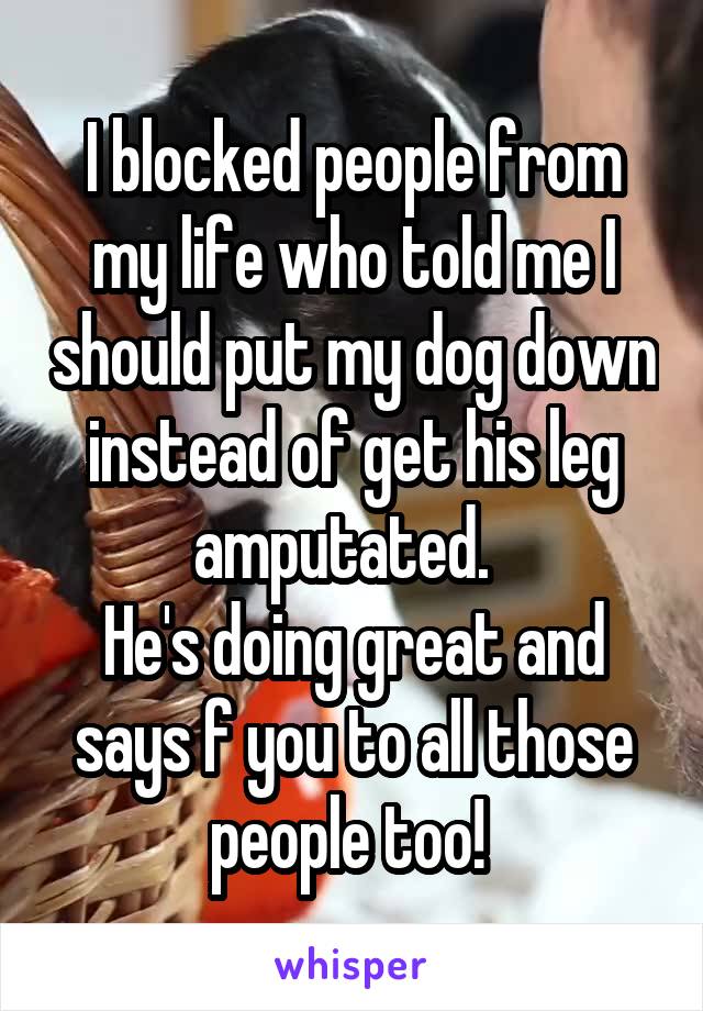I blocked people from my life who told me I should put my dog down instead of get his leg amputated.  
He's doing great and says f you to all those people too! 