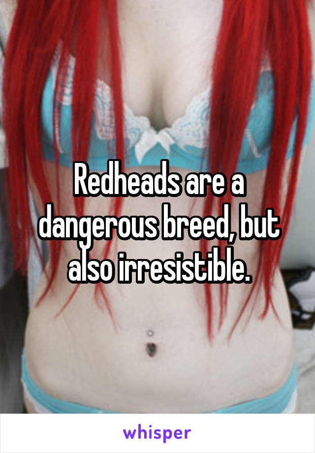 Redheads are a dangerous breed, but also irresistible.