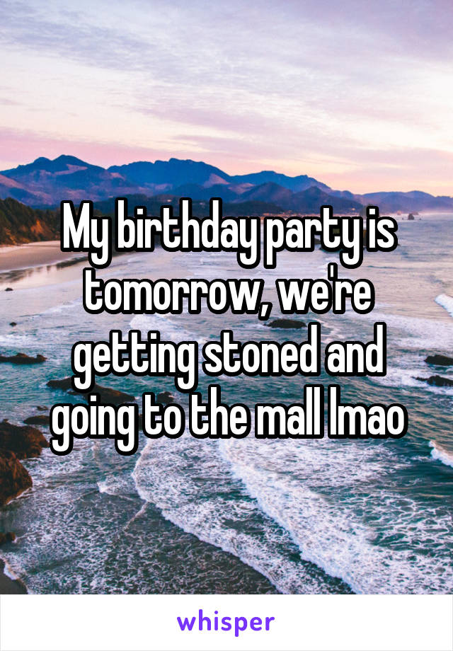 My birthday party is tomorrow, we're getting stoned and going to the mall lmao