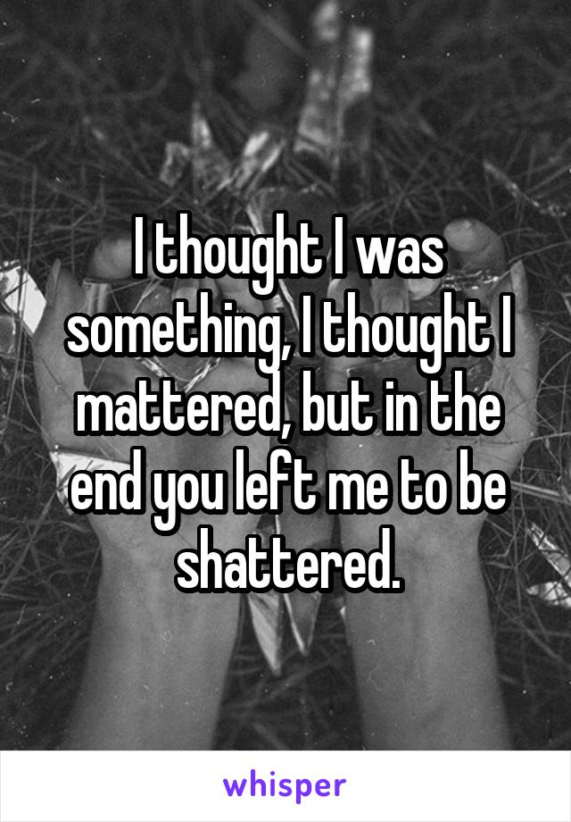 I thought I was something, I thought I mattered, but in the end you left me to be shattered.