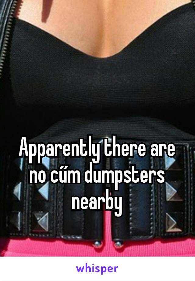 Apparently there are no cűm dumpsters nearby