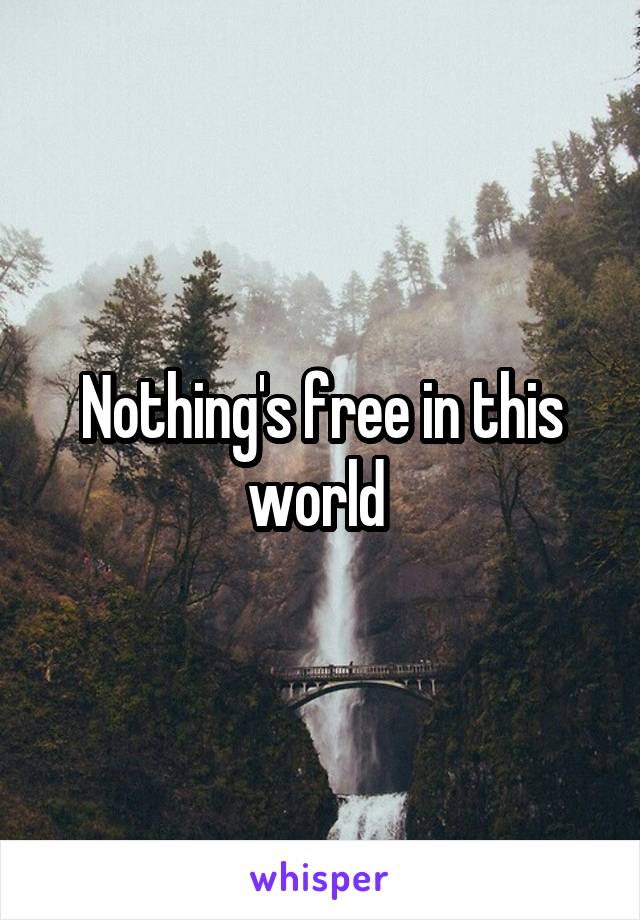 Nothing's free in this world 