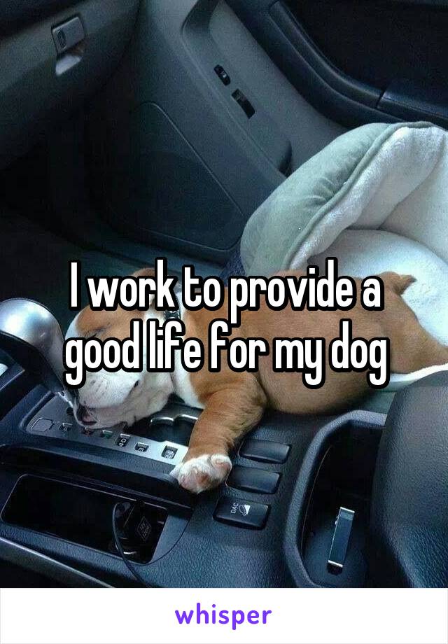 I work to provide a good life for my dog