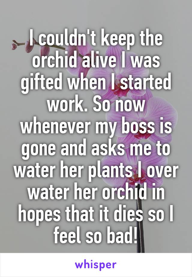 I couldn't keep the orchid alive I was gifted when I started work. So now whenever my boss is gone and asks me to water her plants I over water her orchid in hopes that it dies so I feel so bad!