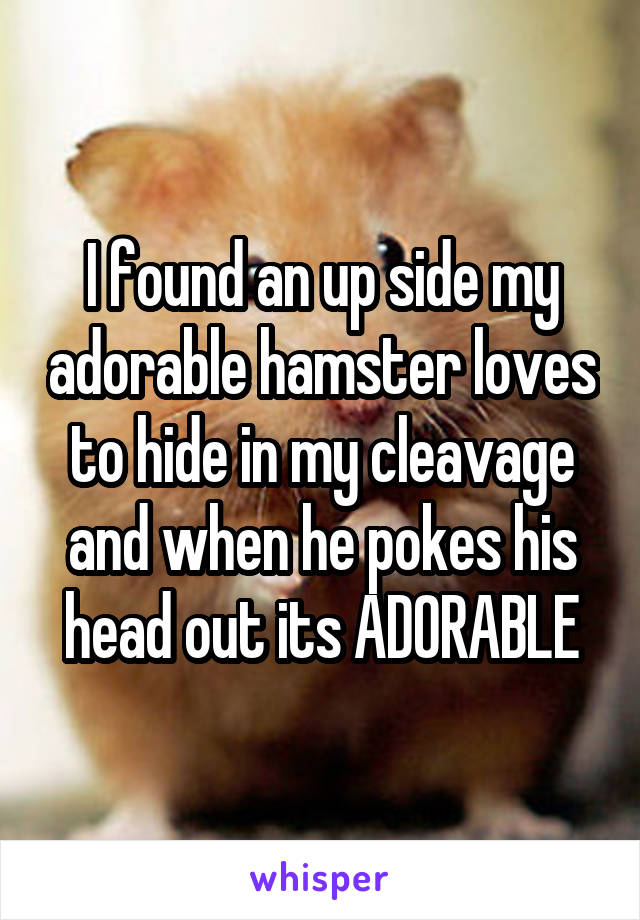 I found an up side my adorable hamster loves to hide in my cleavage and when he pokes his head out its ADORABLE