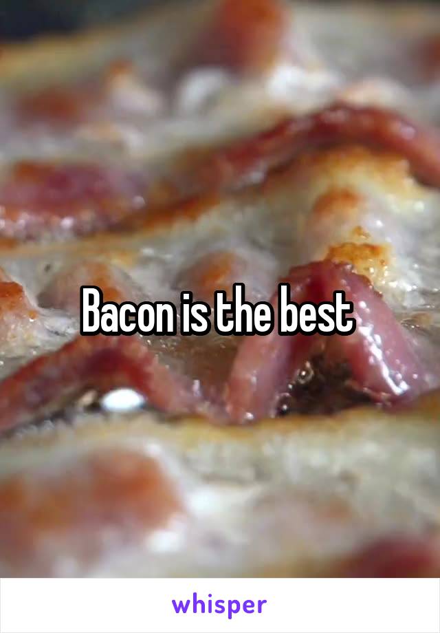 Bacon is the best 