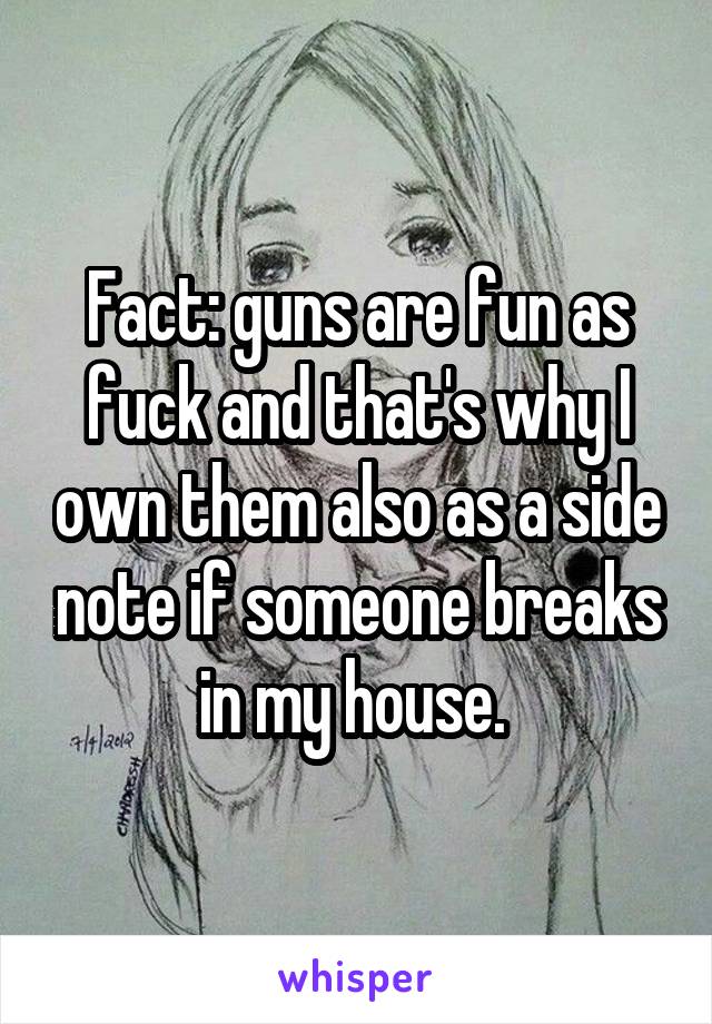 Fact: guns are fun as fuck and that's why I own them also as a side note if someone breaks in my house. 
