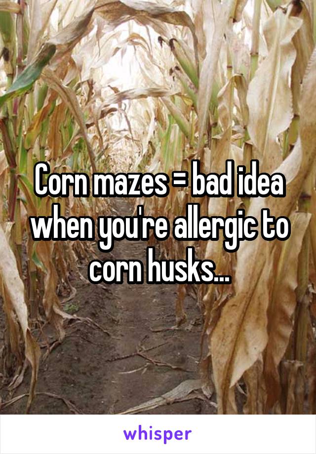 Corn mazes = bad idea when you're allergic to corn husks...