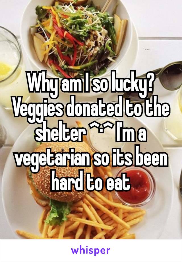 Why am I so lucky? Veggies donated to the shelter ^·^ I'm a vegetarian so its been hard to eat