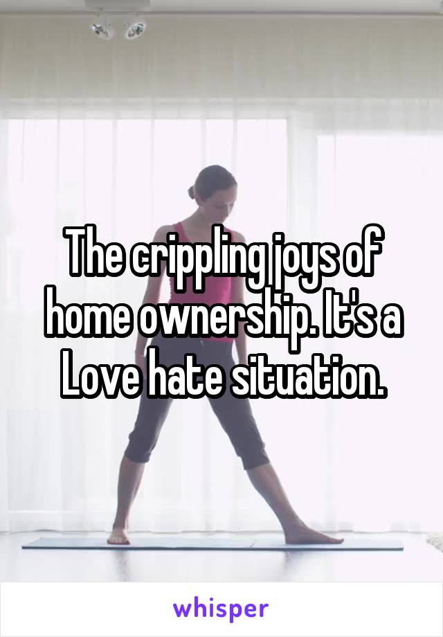 The crippling joys of home ownership. It's a Love hate situation.
