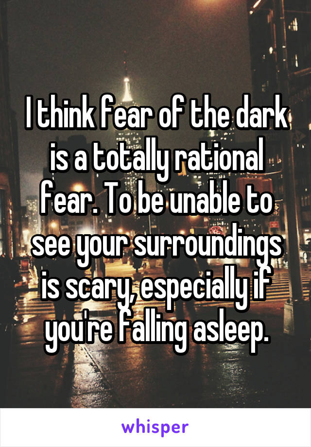 I think fear of the dark is a totally rational fear. To be unable to see your surroundings is scary, especially if you're falling asleep.