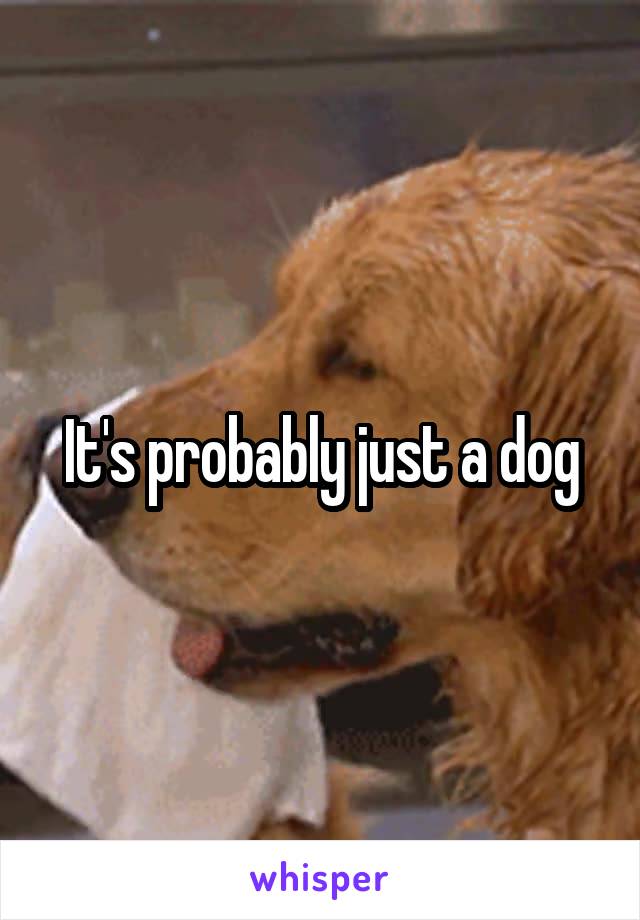 It's probably just a dog