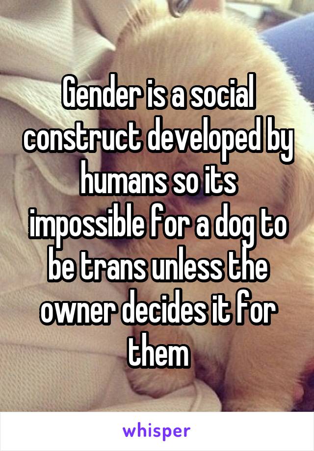 Gender is a social construct developed by humans so its impossible for a dog to be trans unless the owner decides it for them