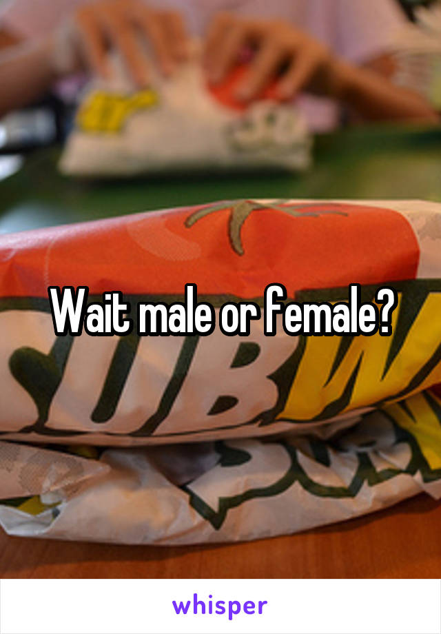 Wait male or female?