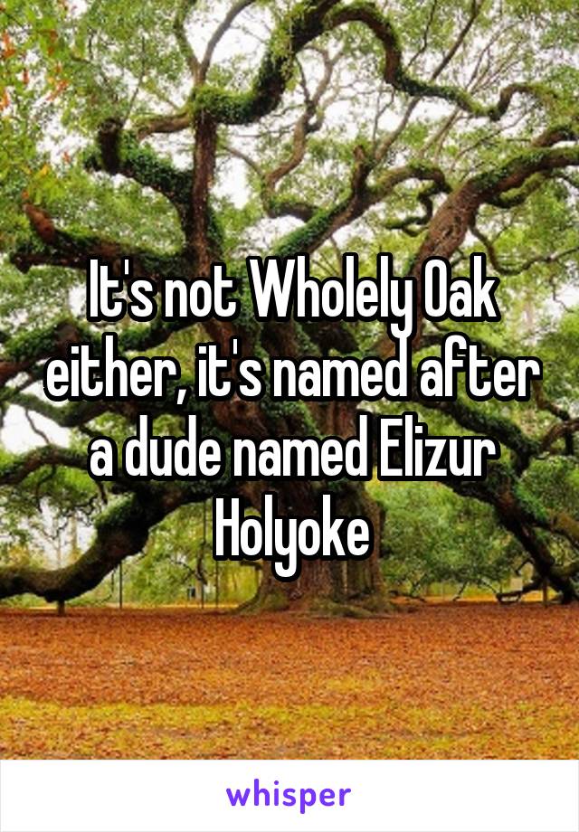 It's not Wholely Oak either, it's named after a dude named Elizur Holyoke