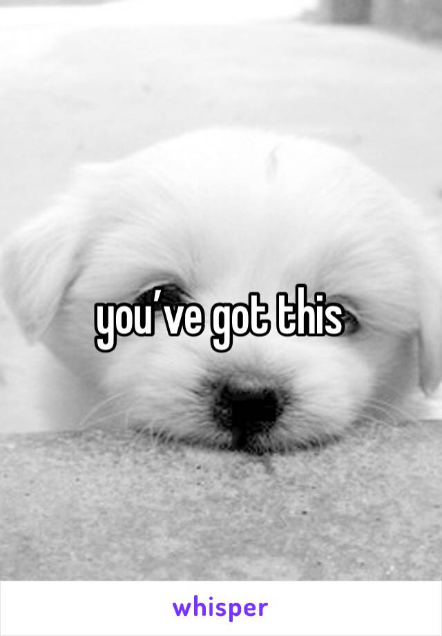 you’ve got this 