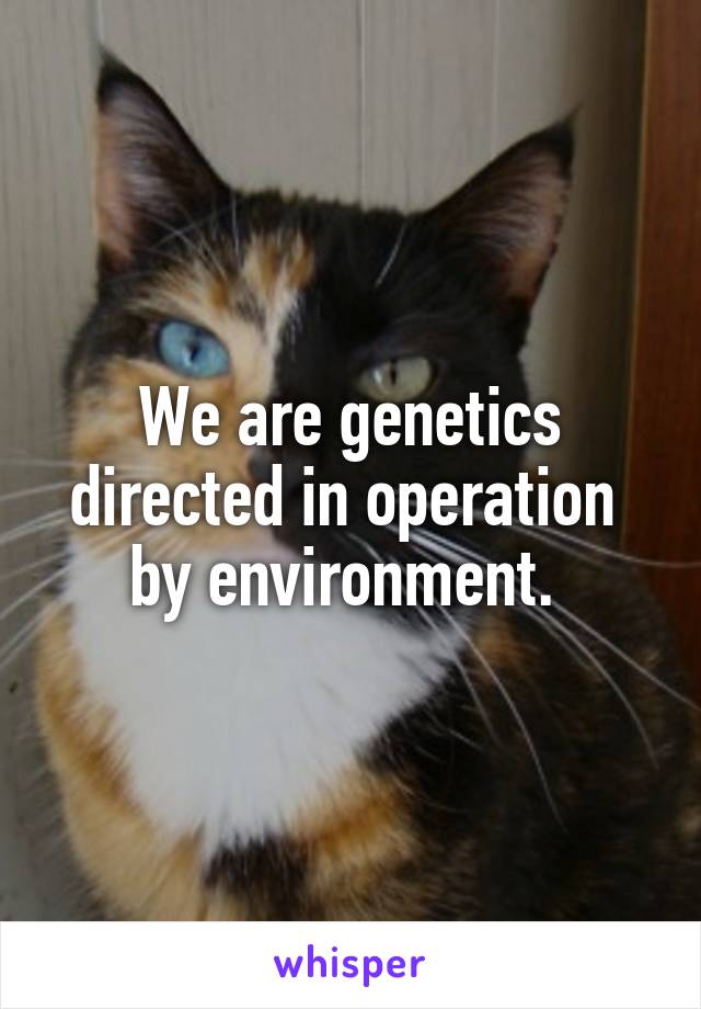 We are genetics directed in operation  by environment. 