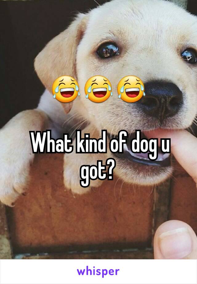 😂😂😂

 What kind of dog u got?
