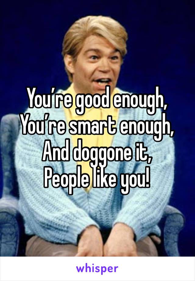 You’re good enough,
You’re smart enough,
And doggone it,
People like you!