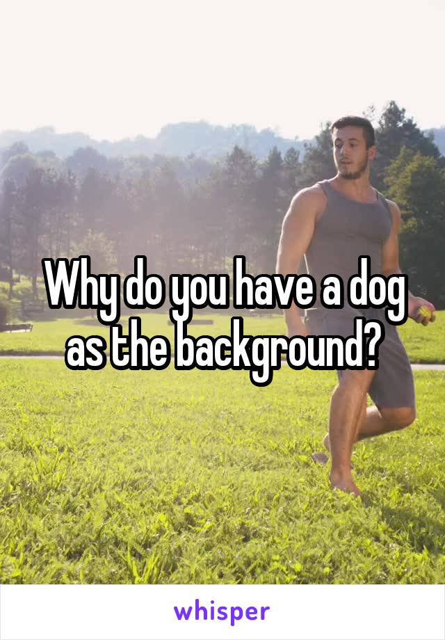 Why do you have a dog as the background?