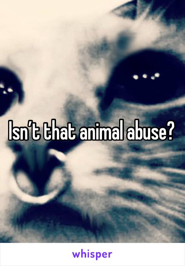 Isn’t that animal abuse? 