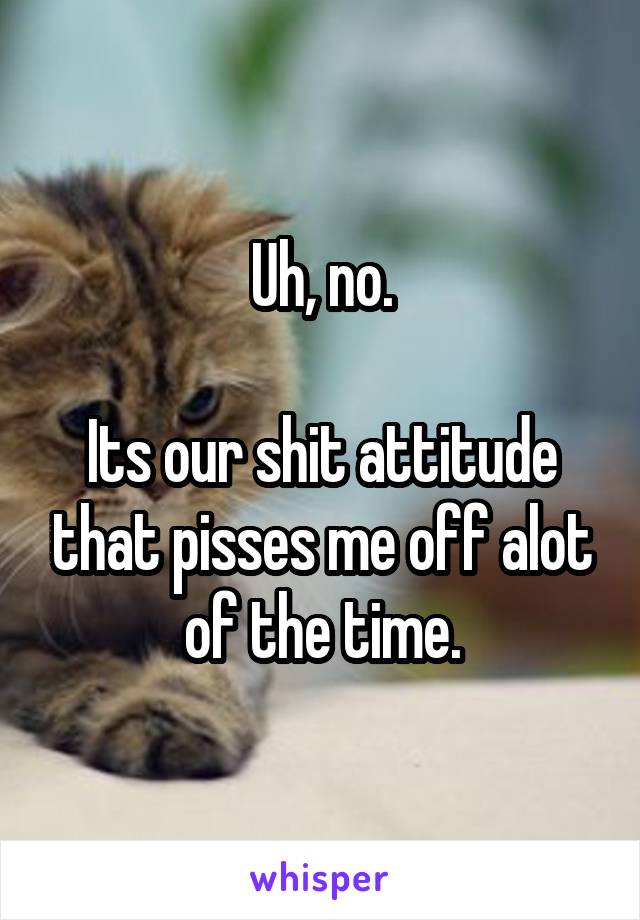 Uh, no.

Its our shit attitude that pisses me off alot of the time.
