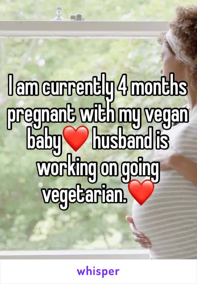 I am currently 4 months pregnant with my vegan baby❤️ husband is working on going vegetarian.❤️