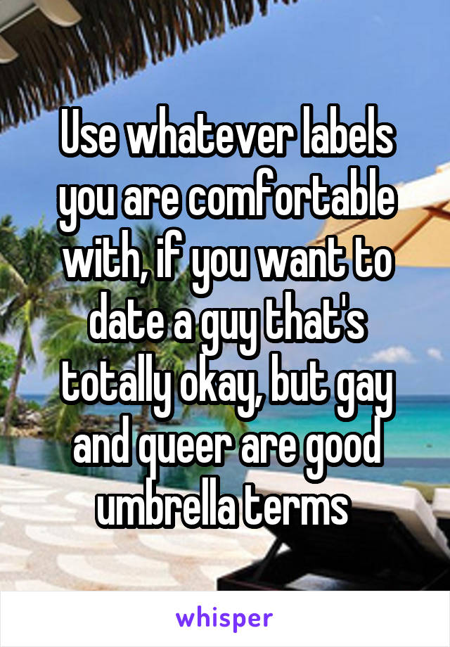 Use whatever labels you are comfortable with, if you want to date a guy that's totally okay, but gay and queer are good umbrella terms 