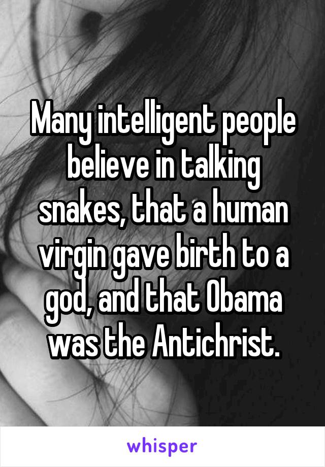 Many intelligent people believe in talking snakes, that a human virgin gave birth to a god, and that Obama was the Antichrist.