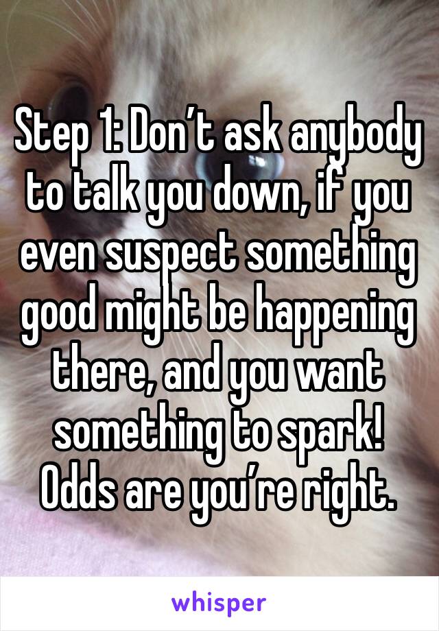 Step 1: Don’t ask anybody to talk you down, if you even suspect something good might be happening there, and you want something to spark! Odds are you’re right.