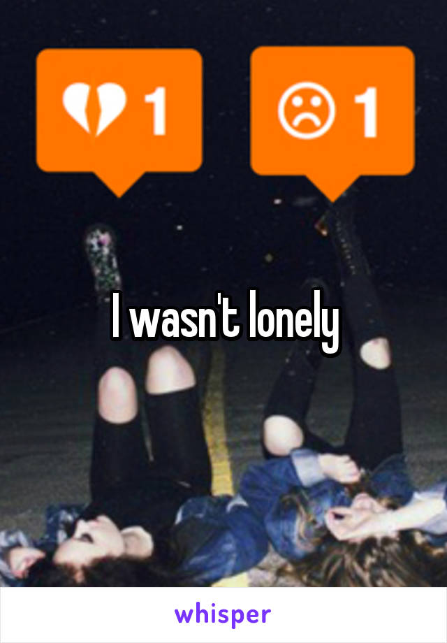 I wasn't lonely