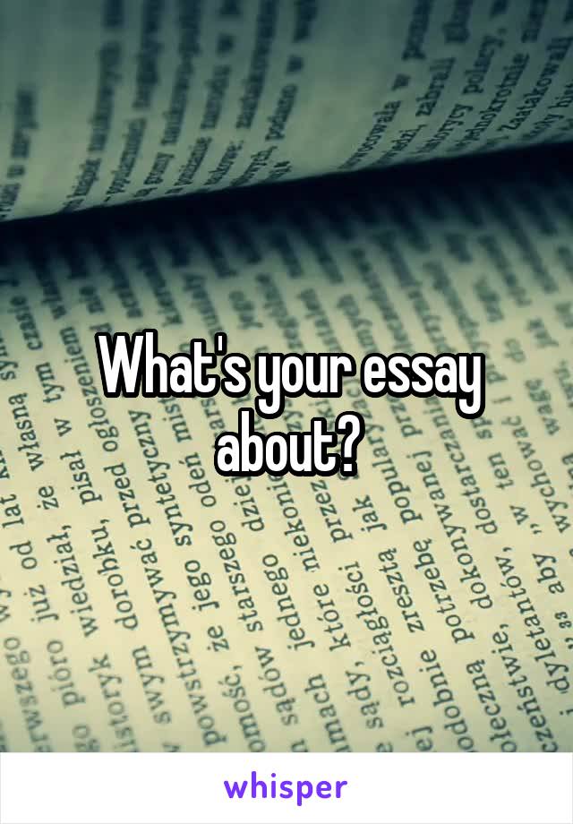 What's your essay about?
