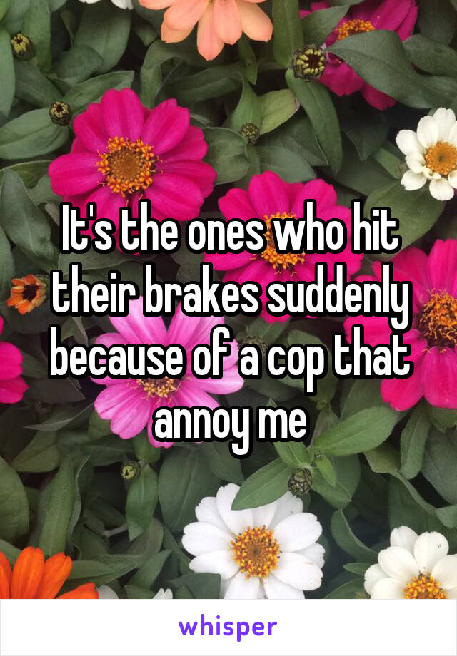 It's the ones who hit their brakes suddenly because of a cop that annoy me