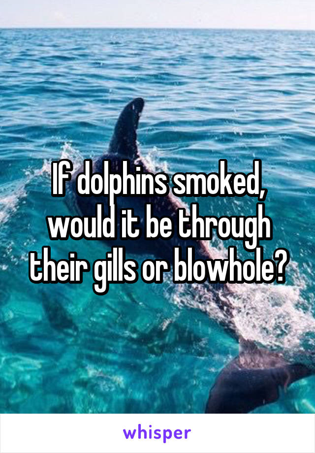 If dolphins smoked, would it be through their gills or blowhole?