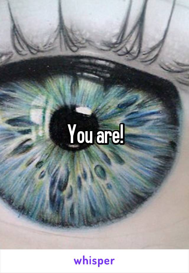 You are!