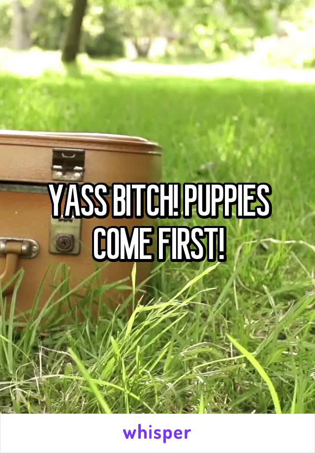 YASS BITCH! PUPPIES COME FIRST!
