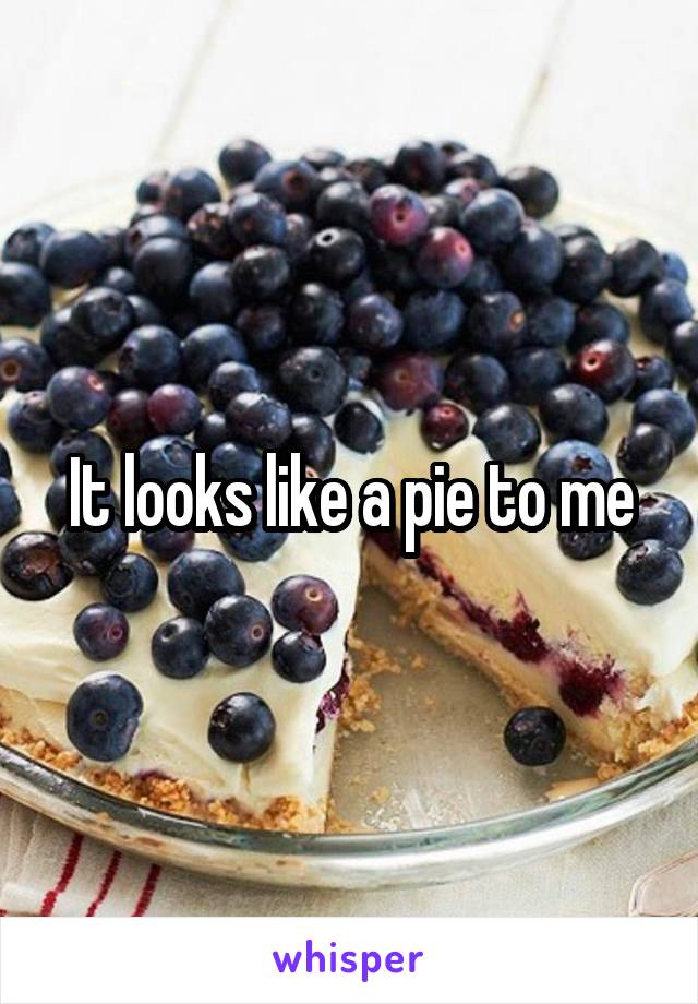 It looks like a pie to me