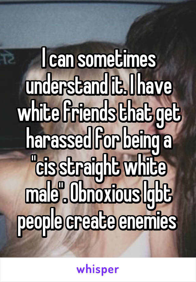 I can sometimes understand it. I have white friends that get harassed for being a "cis straight white male". Obnoxious lgbt people create enemies 