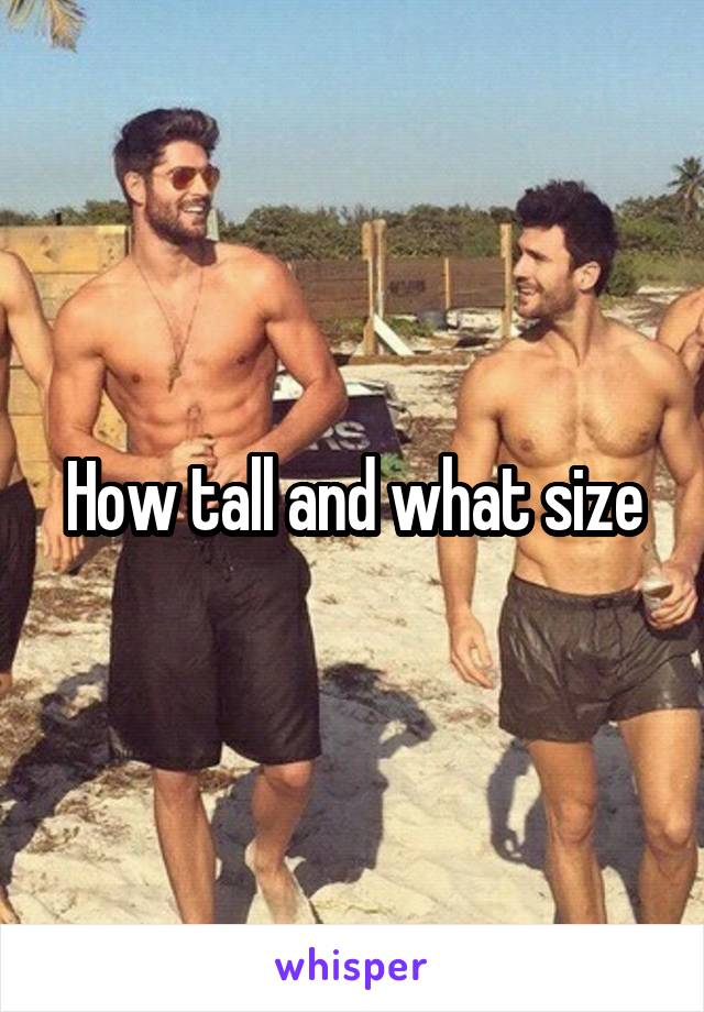 How tall and what size
